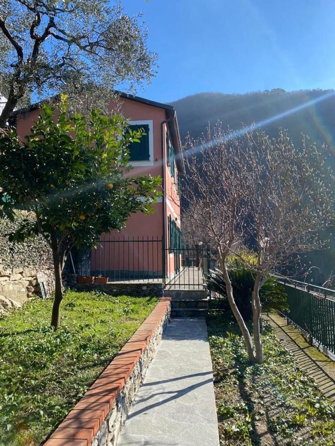 Vila Casa Laura Zoagli Exteriér fotografie