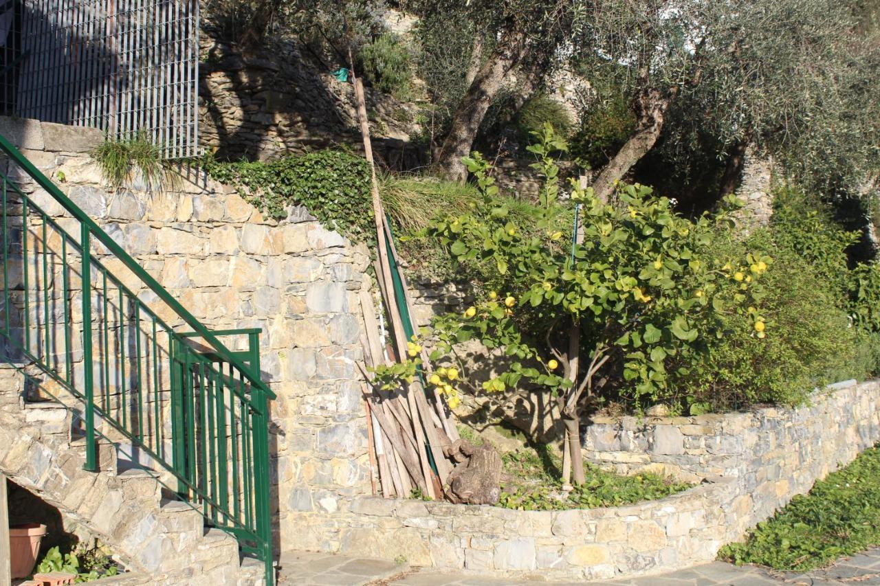 Vila Casa Laura Zoagli Exteriér fotografie